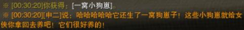 剑网3一念间宠物奇遇怎么做
