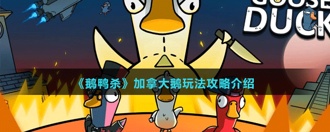 加拿大鹅玩法攻略介绍 战斗节奏把控与连招技巧分享