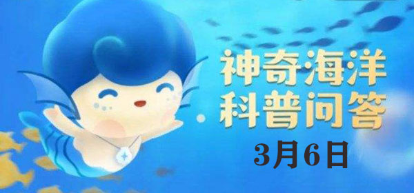 以下被称为“马牙”的海洋动物是：副本速通路线建议