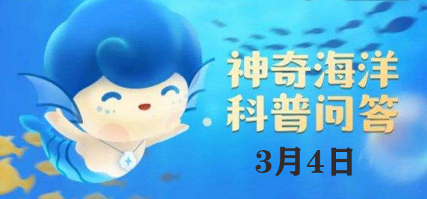 以下海洋动物中会使用石头作为工具获得食物的是：宠物技能效果深度解析