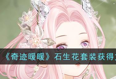 石生花套装获得攻略 攻略明确分工