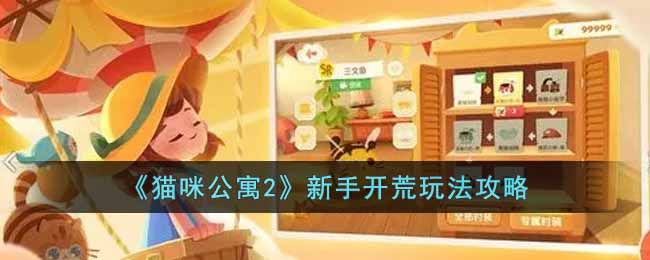 新手开荒玩法攻略 团队默契形成的实用方法