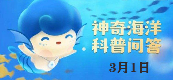 考考你：被称为“海洋中的小巨人”的是：战场布局变化与应对方法