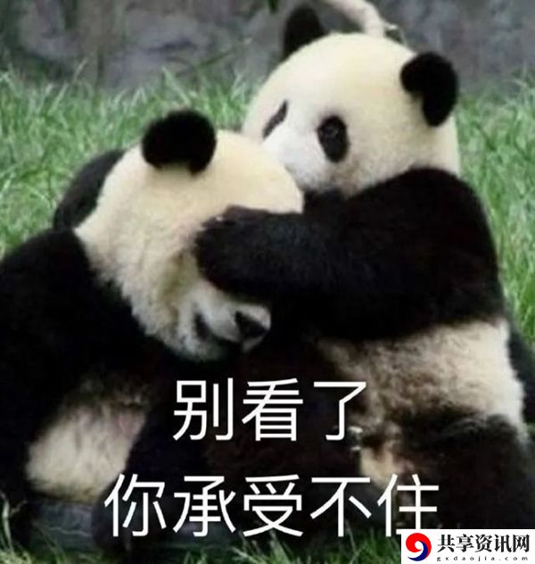 笋都被你夺完了梗意思、含义、出处介绍：战斗中的团队配合与默契