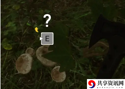 森林之子前期怎么玩