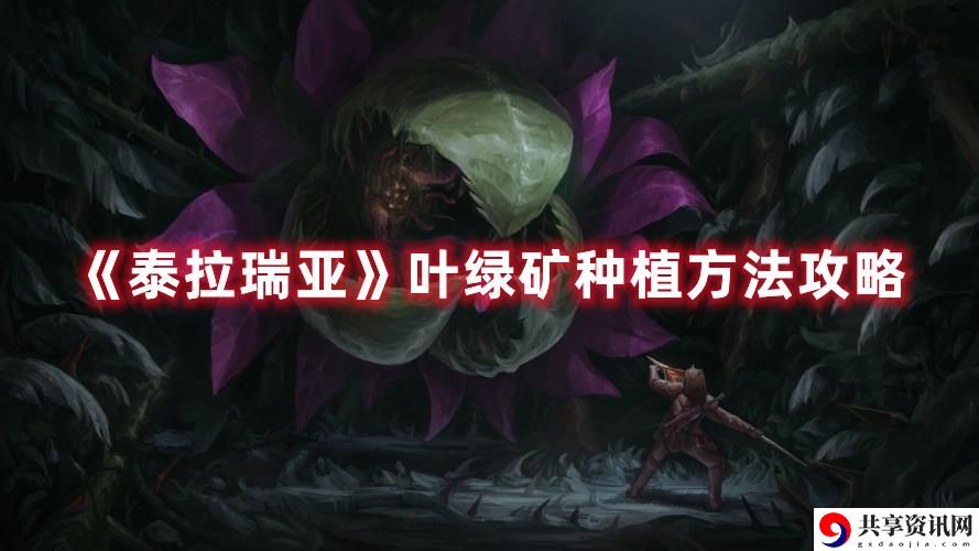 叶绿矿种植方法一览 高级奖励道具获取方法详解