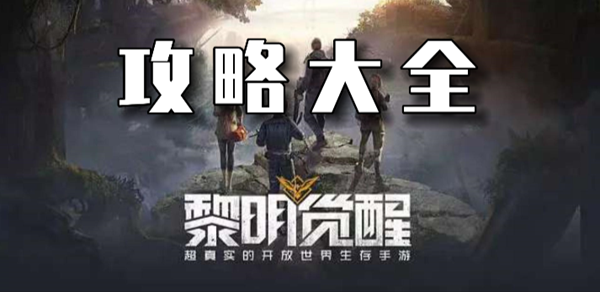 黎明觉醒攻略大全：如何在游戏中高效完成副本挑战？