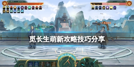 觅生长萌新有什么技巧：角色成长规划与属性提升