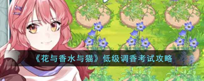 低级调香考试过关教学 教你应对难题