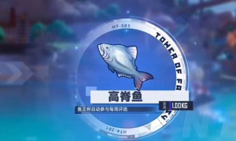 钓鱼攻略 游戏内最佳进阶技巧
