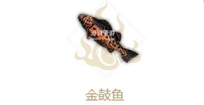 妄想山海金鼓鱼属性介绍：每个挑战都是一次成长的机会