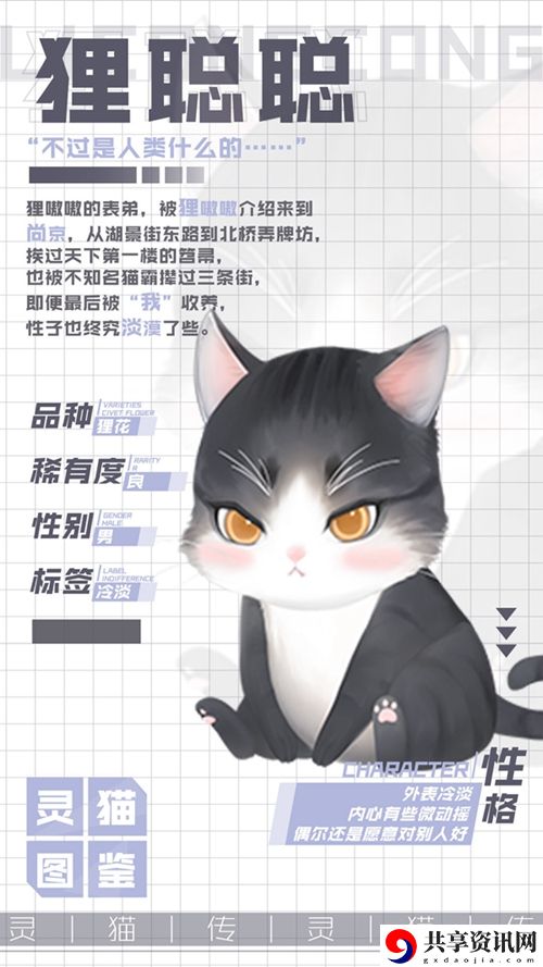 灵猫传冷淡灵猫狸聪聪属性图鉴：如何在副本中合理分配角色任务