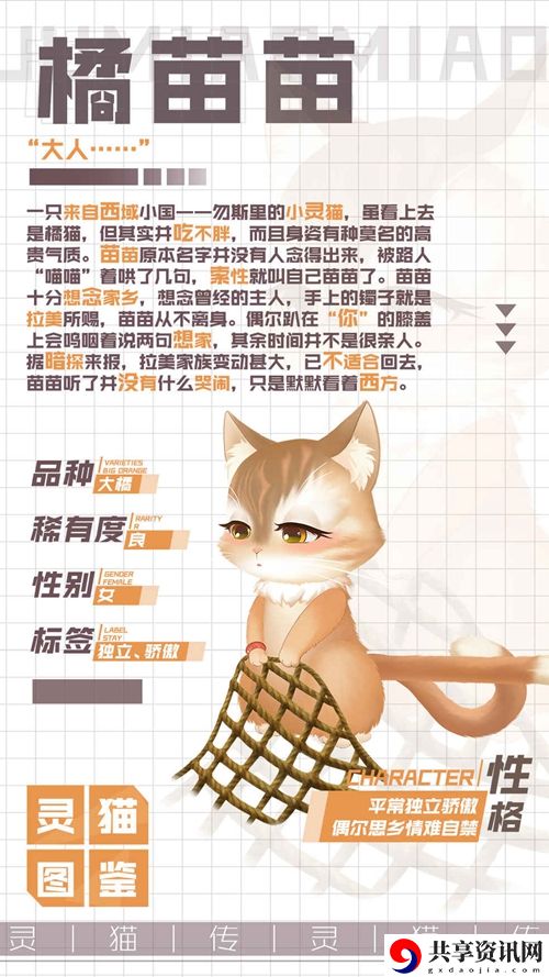 灵猫传优雅灵猫橘苗苗属性图鉴：如何通过活动获取限时奖励？