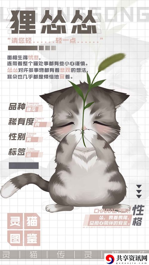 灵猫传忧郁灵猫狸怂怂属性图鉴：宠物技能培养与实战应用指南