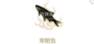 妄想山海寒鲋鱼属性介绍：最大化输出伤害