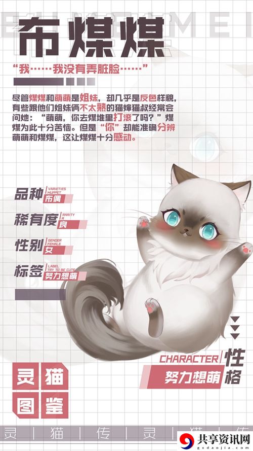 灵猫传双生子小黑布煤煤属性图鉴：装备升级材料的速刷方法