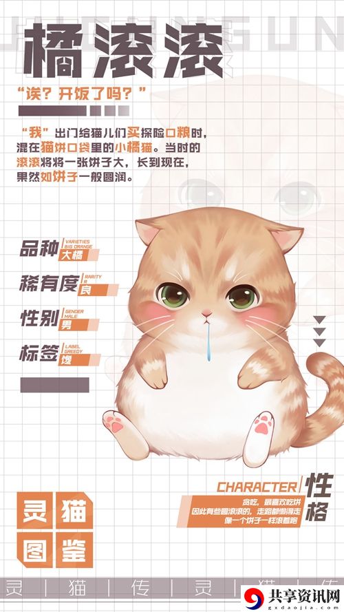 灵猫传吃货男孩橘滚滚属性图鉴：宠物技能搭配与战斗风格