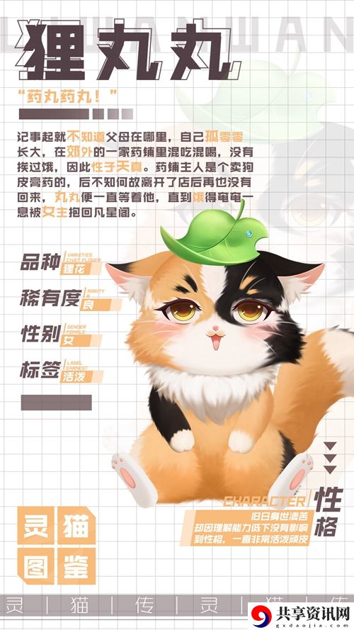 灵猫传狸丸丸属性图鉴：隐藏任务背后的故事与深度解析