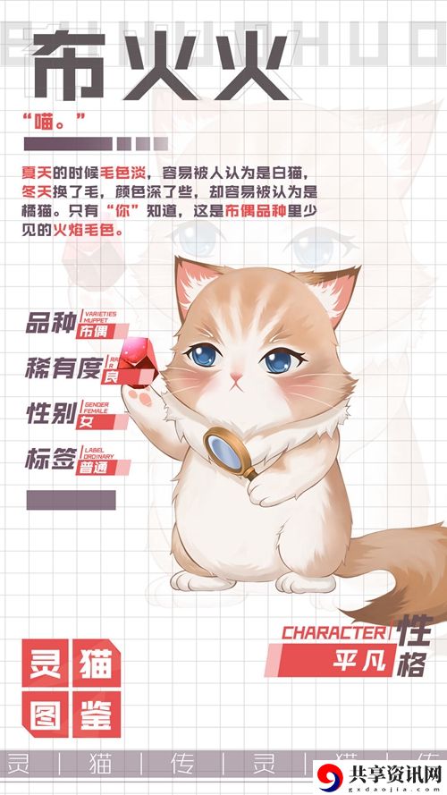 灵猫传布火火属性图鉴：神秘商店物品详解