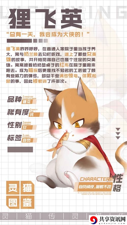 灵猫传狸飞英属性图鉴：高级装备副本获取指南