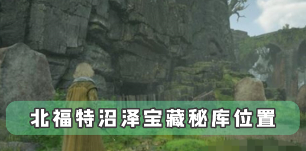 霍格沃茨之遗北福特沼泽宝藏秘库位置：宠物成长速度优化
