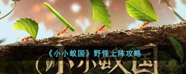野怪上阵方法 宠物养成与战斗优化策略