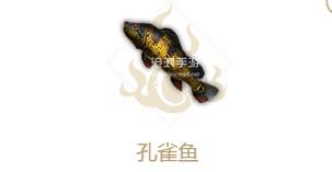 妄想山海孔雀鱼属性介绍：地图特色区域与探险重点