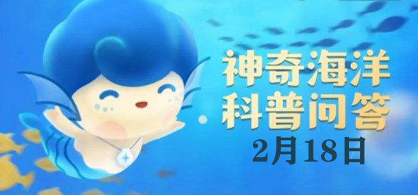 鲸类中，被誉为“潜水冠军”的是：PVP竞技场制霸策略
