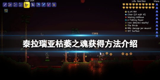 枯萎之魂获得攻略 装备幻化风格与场景搭配