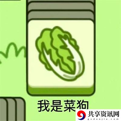表情包无水印分享 保持战斗优势
