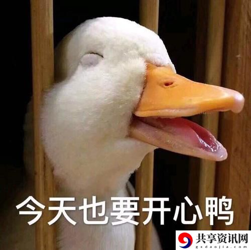 抓鸭子抓几只游戏规则：宠物培养与战斗助阵