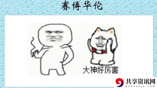 赛博华佗是什么意思