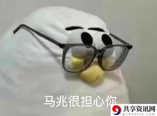 马兆海鸥是什么梗