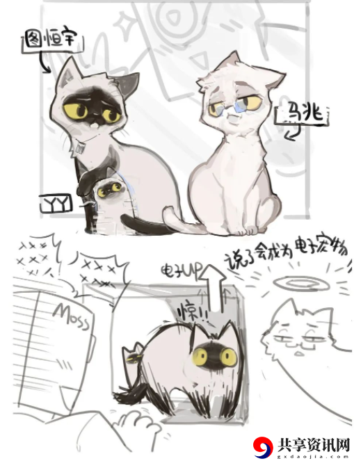 马兆海鸥是什么梗