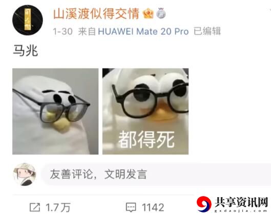 马兆海鸥是什么梗