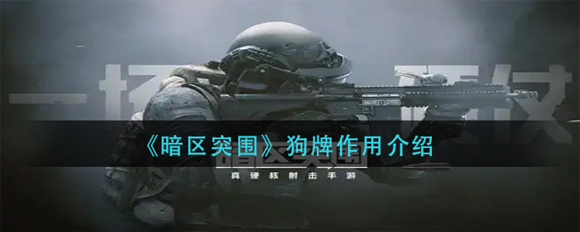 狗牌作用攻略 角色属性转换与装备适配