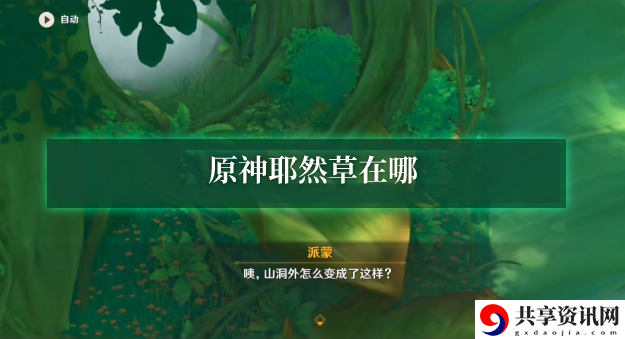 正法炬书耶然草封印位置一览 竞技对战技巧与排名提升建议