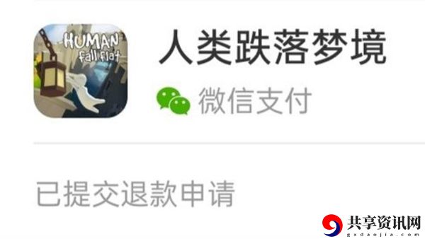 人类跌落梦境退款流程介绍：高效升级路径指引