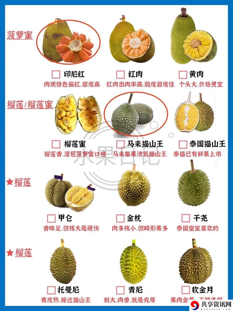 榴莲香蕉苹果哈密瓜水蜜桃上线，网友：这是什么神奇的组合！