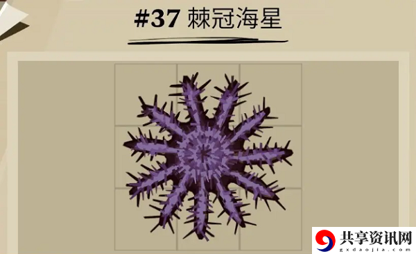 棘冠海星位置一览 在游戏中保持耐心和毅力