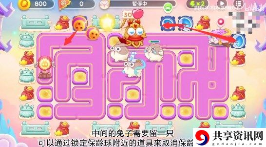 周赛6.2攻略 攻略教你选择技巧