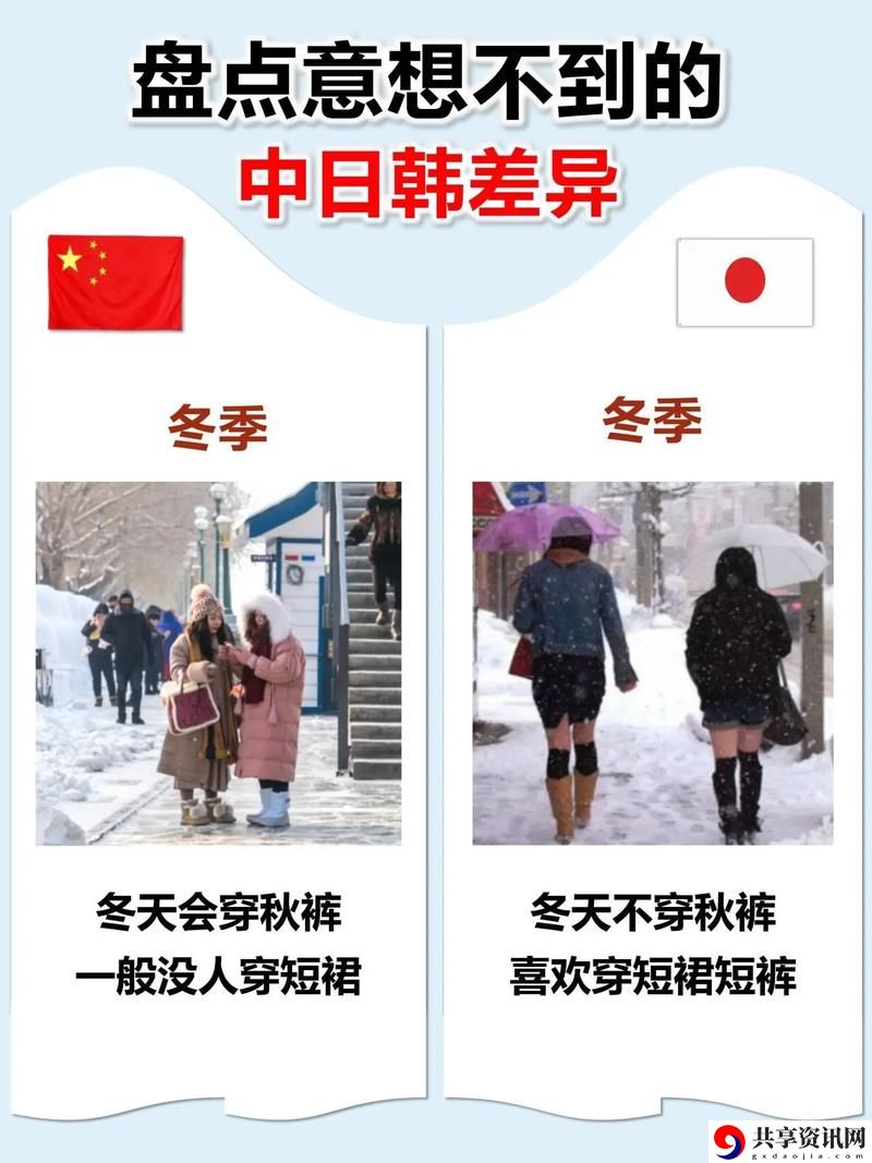  深入探讨日韩和的一区二区区别是什么知乎