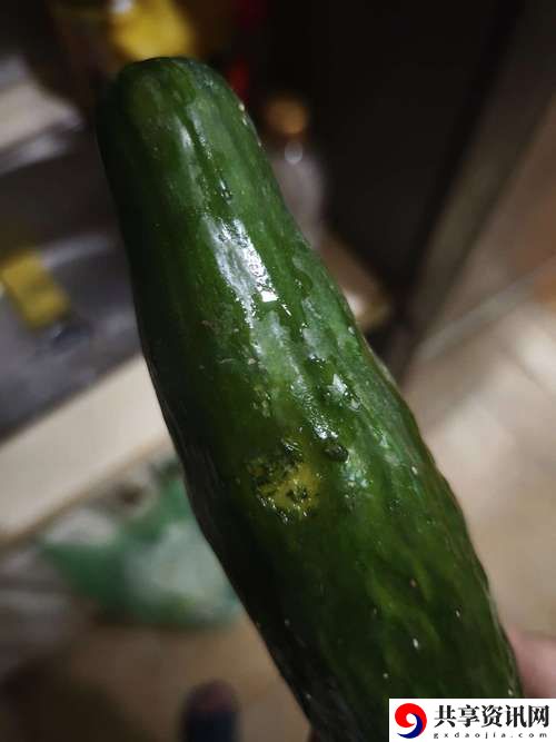  黄瓜视频删除了怎么恢复记录？看这里获取解决方案