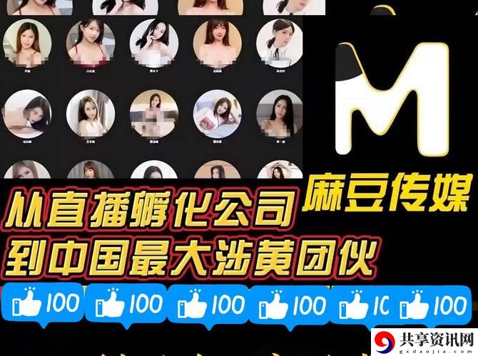 麻花豆传媒精确划分一二三产区：助力农业资源合理配置