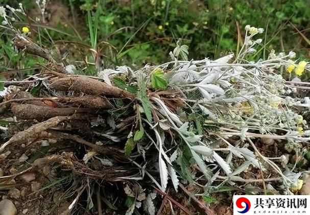 在房间里