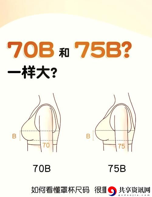 B大与小哪个好火爆上线，平台：众多用户热议