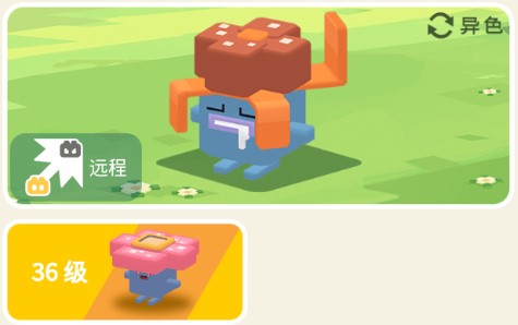 宝可梦大探险臭臭花攻略：商店系统装备提升指南