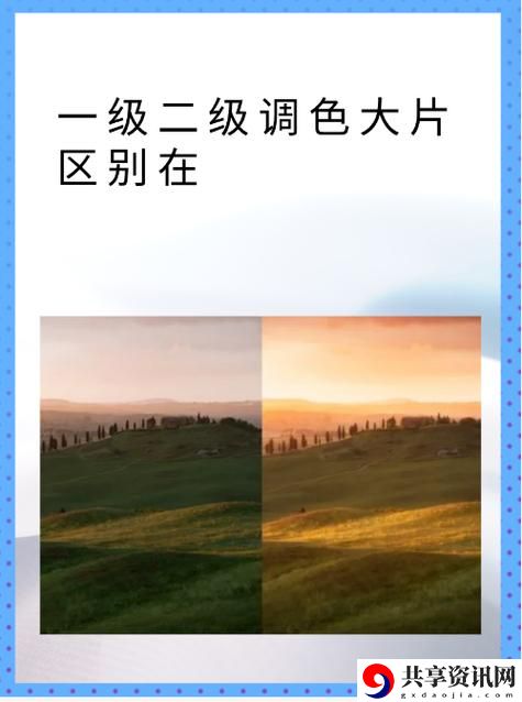  深入探讨“一级二级调色大片区的区别分析”