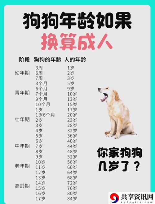  日本mindup狗与人类狗的区别：探索两者独特的情感联系