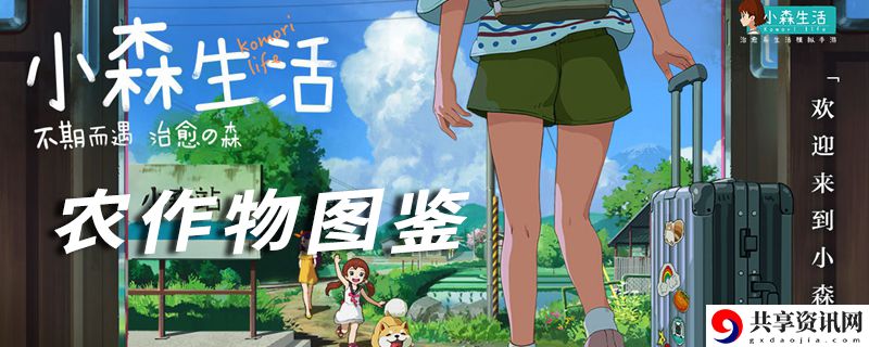 小森生活农作物图鉴大全：职业技能搭配心得